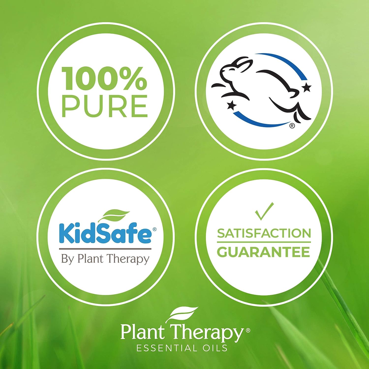 Plant Therapy Blissful Dreams Essential Oil Blend, Relaxation While Supporting Quality Rest, Grounding & Soothing, Bedtime Aroma, 10 mL (1/3 oz) 100% Pure, Pre-Diluted Roll On, Natural Aromatherapy : Health & Household