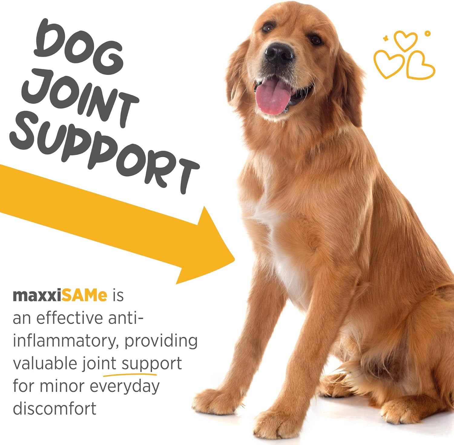 maxxipaws maxxiSAMe Sam-e Supplement for Dogs - Dog Liver and Cognitive Brain Support - Given with Food Powder 5.3 oz : Pet Supplies