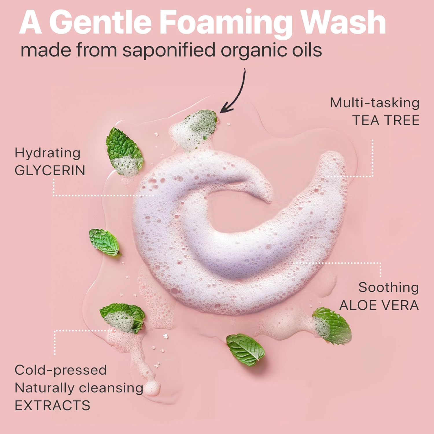 Foaming Face Wash - USA Made with Natural & Organic Ingredients, Gentle Foaming Face Cleanser for Sensitive & Oily Skin, Non Toxic Daily Wash with Aloe Vera & Glycerin, Non Drying Facial Cleanser : Beauty & Personal Care