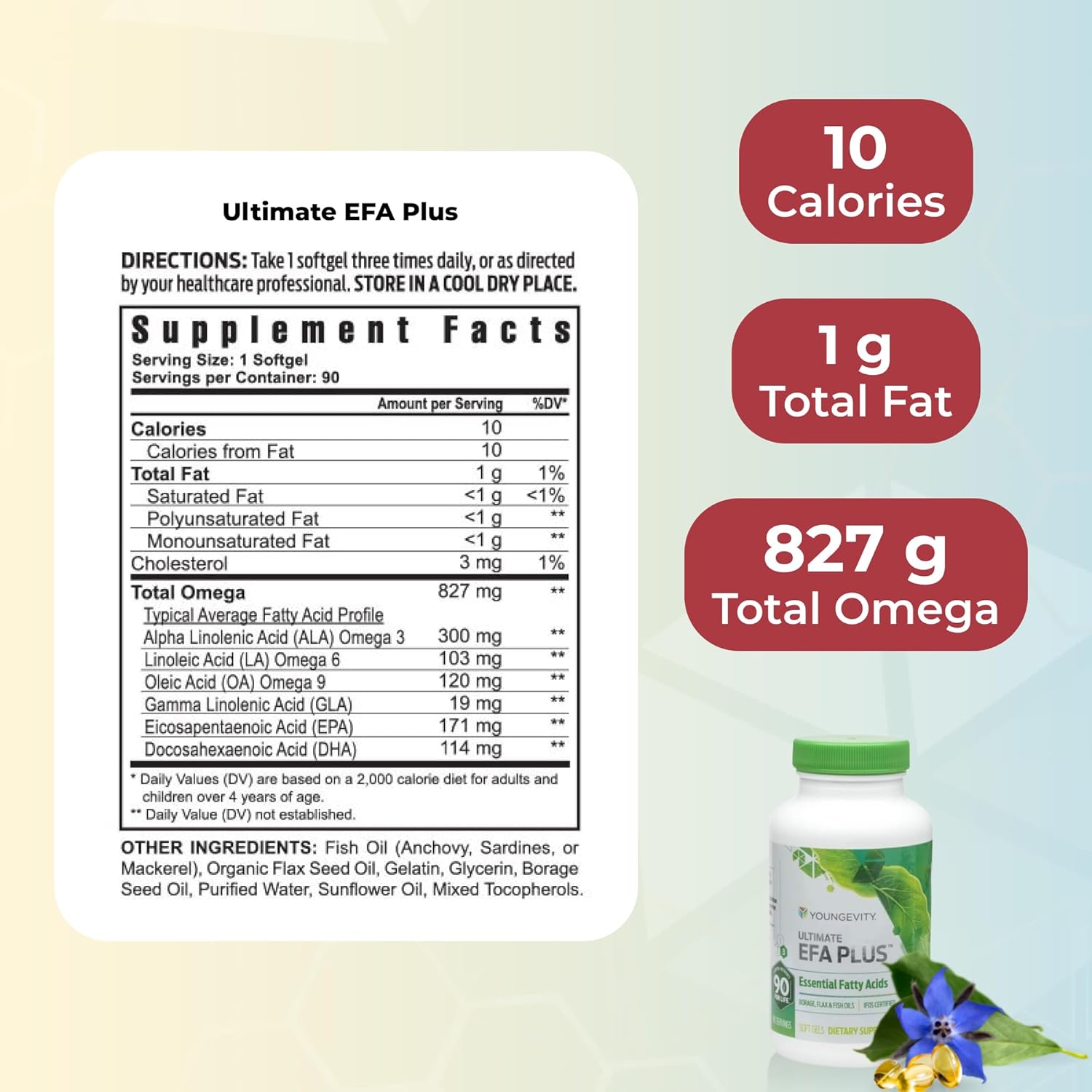 Buy Youngevity Healthy Body Start Pak 2.0 – Complete Nutritional System With Beyond Tangy Tangerine 2.0, Ultimate Efa Plus, And Beyond Osteo-Fx – Bone, Heart, Immune, And Digestive Health Support On  Free Shipping On Qualified Orders