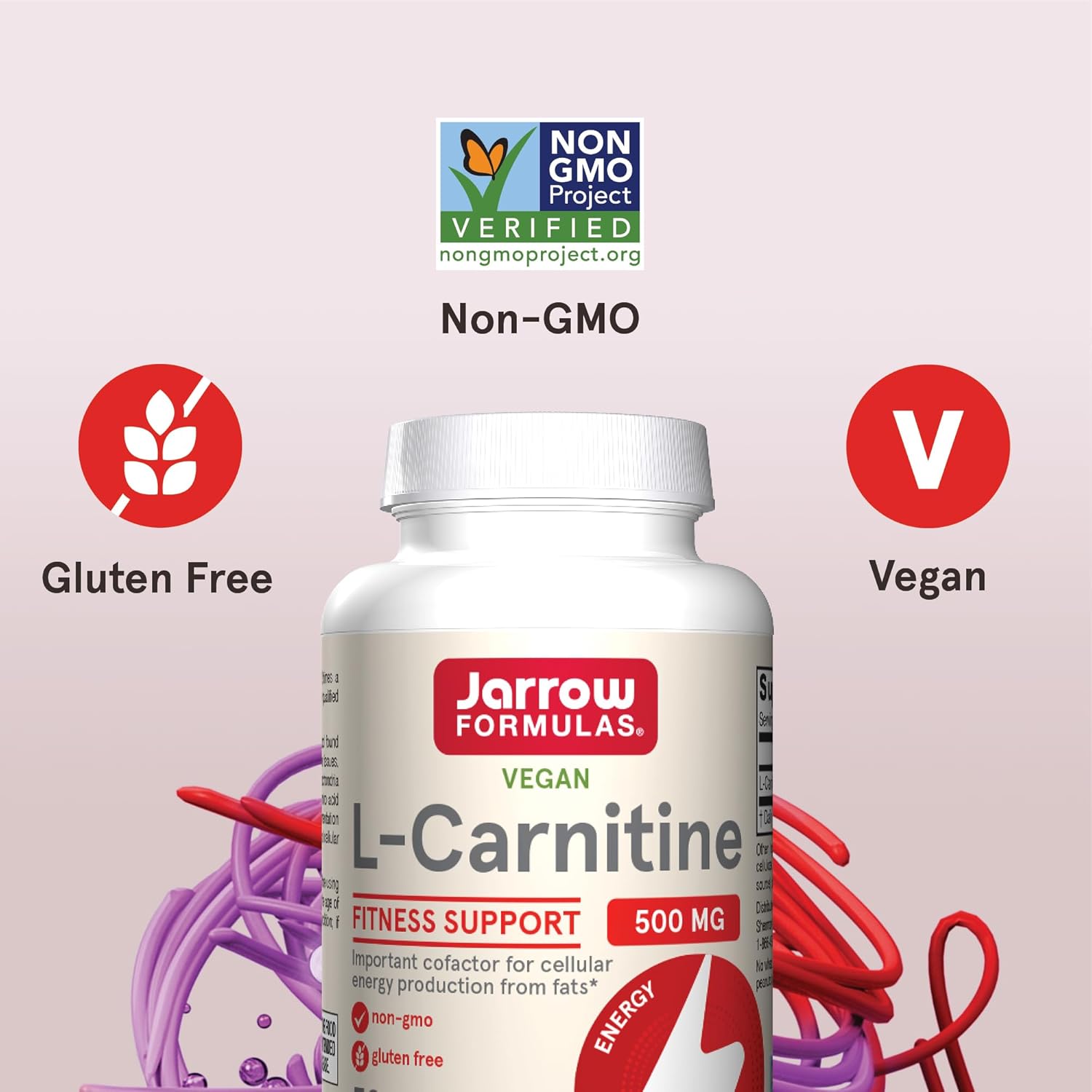 Jarrow Formulas L-Carnitine 500 mg, Dietary Supplement, Support for Cellular Energy Production, 50 Veggie Capsules, 50 Day Supply : Health & Household