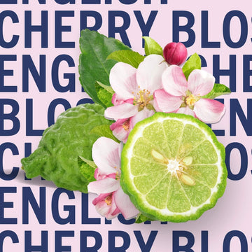 SHAY & BLUE English Cherry Blossom All Natural Spray Light Florals Fragrance 100ml : Amazon.co.uk: Beauty