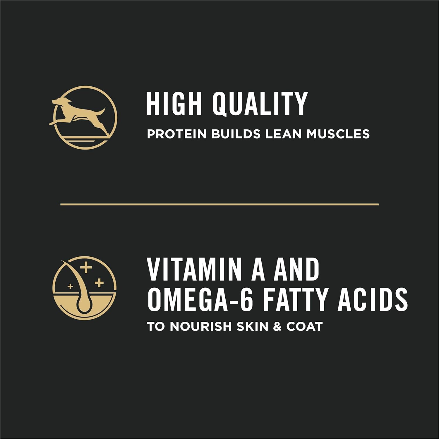 Purina Pro Plan High Protein Puppy Food DHA Lamb & Rice Formula - 34 lb. Bag : Dry Pet Food : Pet Supplies
