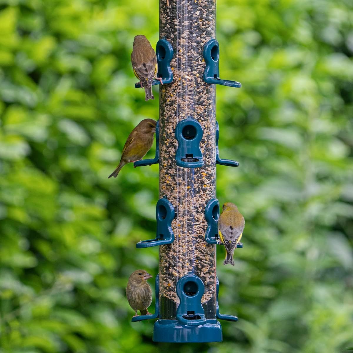 Garden Bird Feeders - Jacobi Jayne® flo™ Festival Hanging, Easy-clean Bird Feeder For sunflower Seeds - Metal bird feeder, Blue, Extra-large sunflower heart feeder :Garden