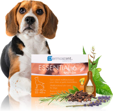 Dermoscent Essential 6 spot-on - Dog Skin Care for Dandruff & Allergy Relief with Vitamin E Oil - Anti Itch for Dogs - Natural Ingredients for Sensitive Skin - Dogs 10-20 kg - 4 Pipettes of 1.2 ml