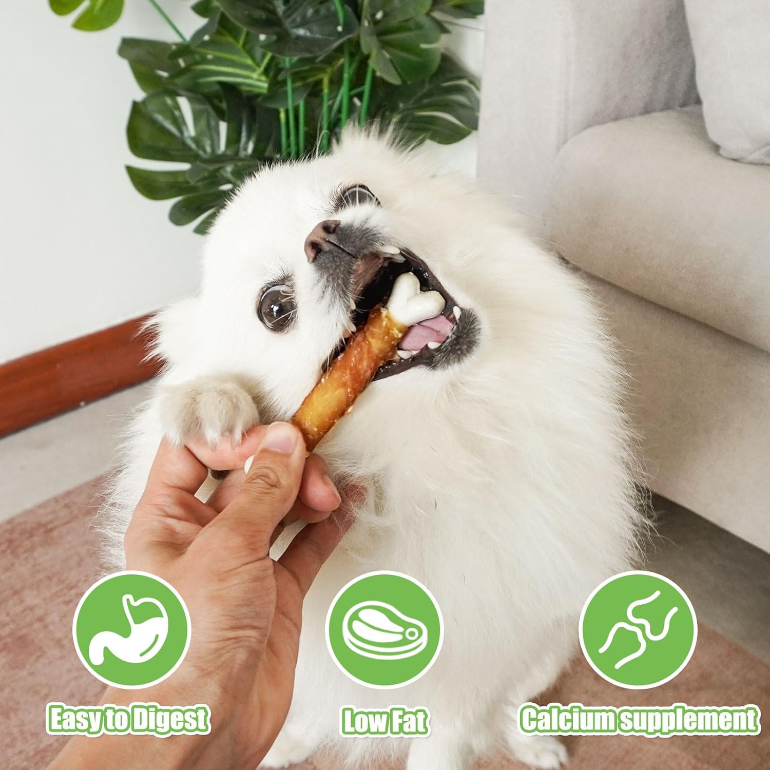 MON2SUN Dog Treats, Chicken Wrapped Calcium Dog Bones Without Rawhide, 4 Inch Training Treats for Teeth Cleaning and Fresh Breath, Dog Chews for Puppy and Small Dogs (10 Ounce - Pack of 1) : Pet Supplies