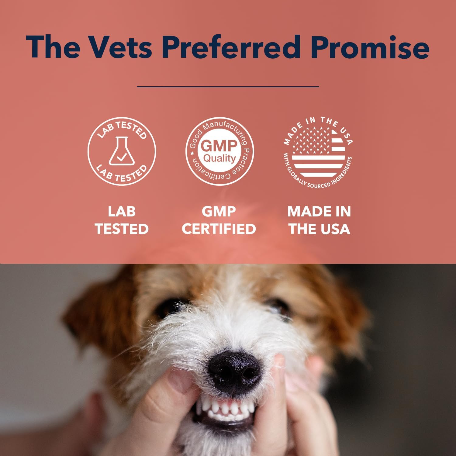 Vets Preferred Oral Care Water Additive for Dogs - Healthy Mouth Dog Breath Freshener Mouthwash - Fights Bad Breath, Removes Plaque and Tartar - Prevents Gum Disease - Mild Mint Flavor : Pet Supplies