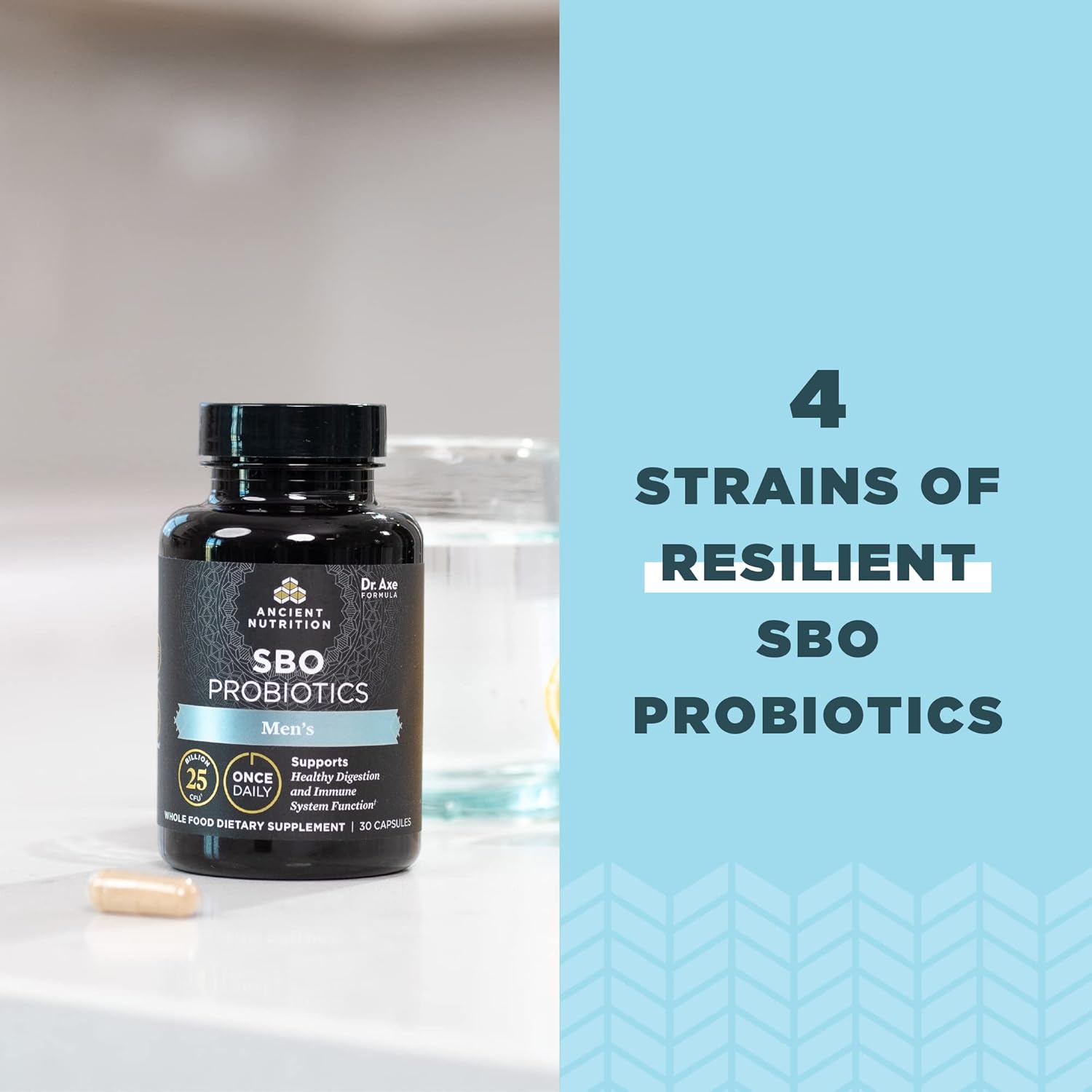 Ancient Nutrition Probiotics For Men, Sbo Probiotics Men'S Once Daily 30 Ct, For Healthy Digestion And Immune System Function Support, 25 Billion Cfus* Per Serving : Health & Household
