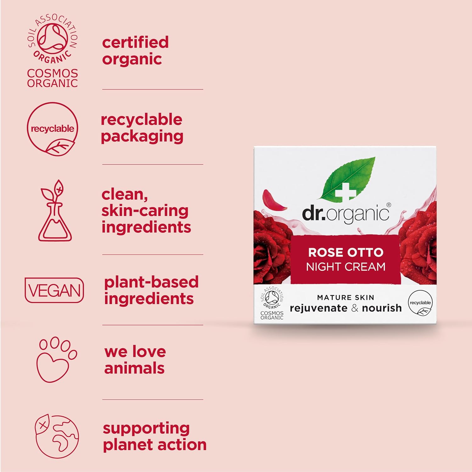 Dr. Organic Rose Otto Night Cream | Rejuvinating For Mature Skin, Aids In Healthy Aging, Promotes Youthful & Toned Skin, Natural, Certified Organic, Vegan, 50 Ml / 1.7 Fl Oz : Beauty & Personal Care