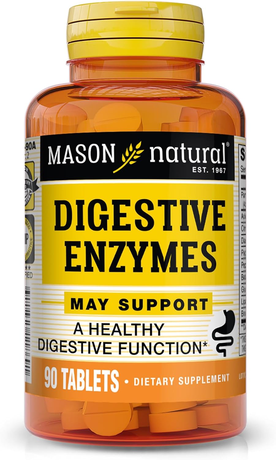 Mason Natural Digestive Enzymes With Prebiotics And Probiotics - Healthy Digestive Function, Improved Gut Health, 90 Tablets