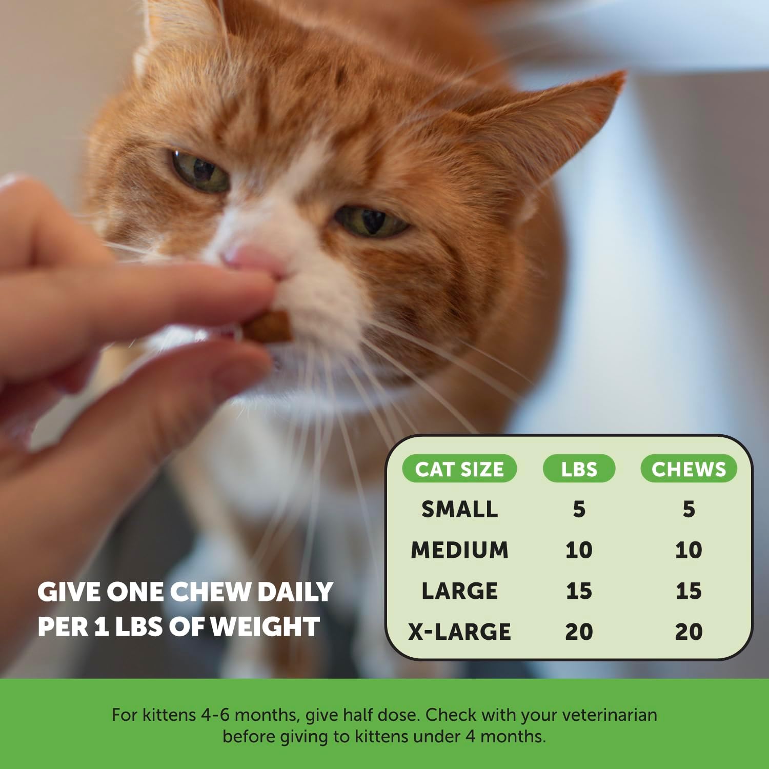 Pet Honesty Cat Probiotics Gut + Immune Health Chews - Cat Digestive Health, Cat Vitamins Supports Gut Health, Immunity Health, Healthy Digestion + Cat Constipation Relief - Chicken (30-Day Supply) : Pet Supplies