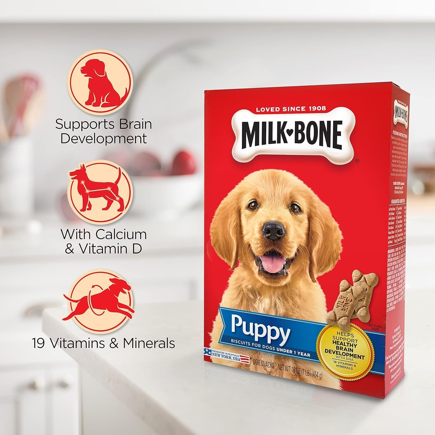 Milk-Bone Original Dog Treats for Puppies, 16 Ounce (Pack of 6), DHA Helps Support Healthy Brain Development : Pet Supplies