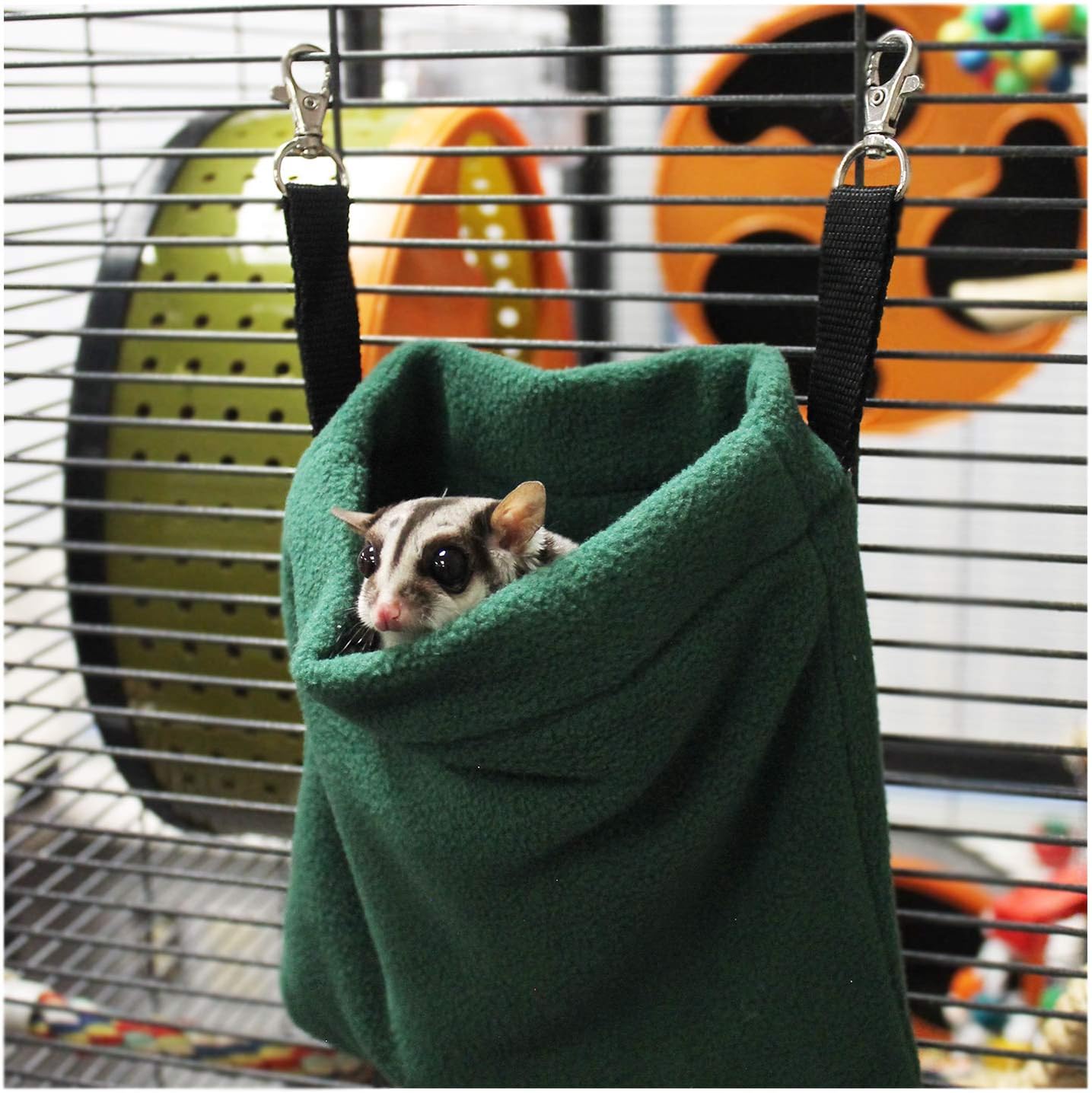 Exotic Nutrition Forest Pouch Set - Hammocks and Bedding for Sugar Gliders, Rats, Ferrets, Chinchillas, Squirrels, Marmosets, Hamsters, Gerbils & Small Animals : Pet Supplies