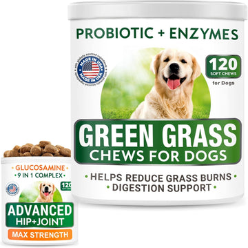 Grass Treatment For Dog Urine + Glucosamine Treats Bundle - Grass Restore + Hip & Joint Care - Probiotics + Chondroitin, Omega-3 - Old Dog Joint Pain Relief + Urine Neutralizer Solution - 240Ct