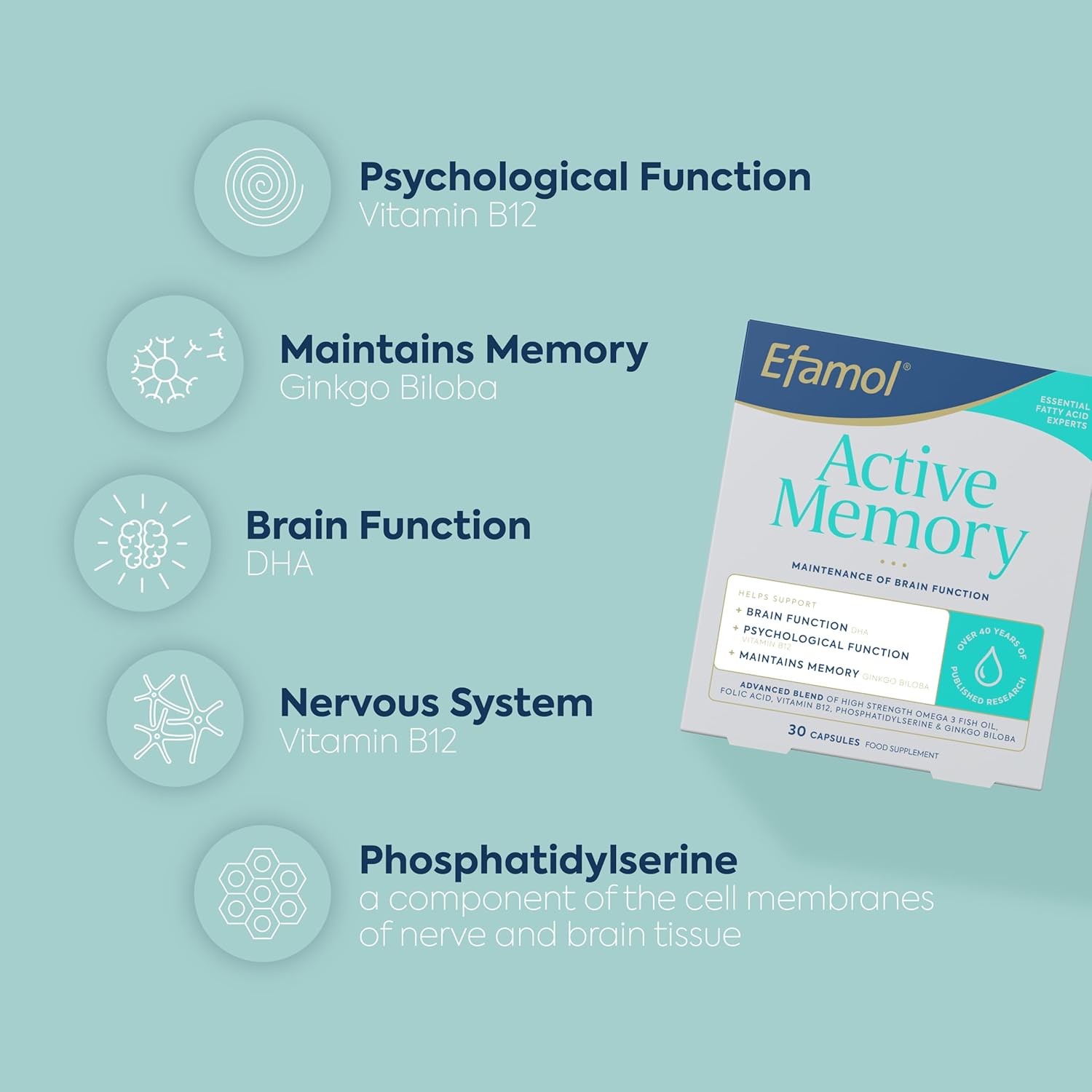 Efamol Active Memory - 30 Fish Oil Capsules | Fish Oil Omega 3 Brain Supplement & Gingko Biloba Memory Support Capsules | DHA Supports Normal Brain Function | Cognitive Function Maintenance : Amazon.co.uk: Health & Personal Care