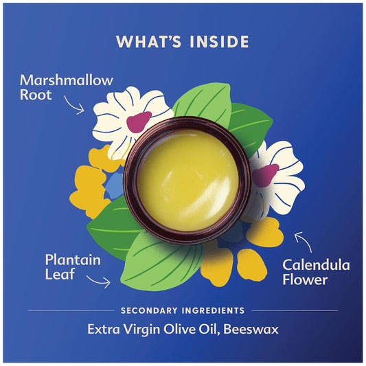 Motherlove Green Salve (1 Oz) Family-Friendly Outdoor Adventure Ointment To Soothe Skin - Usda Organic