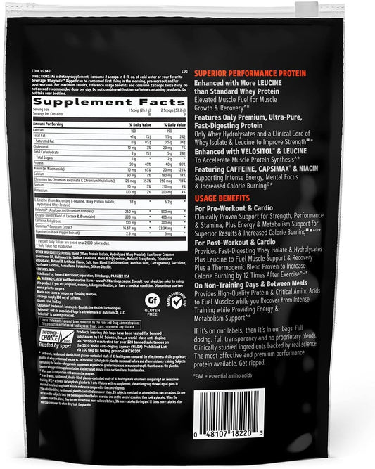 Gnc Amp Wheybolic Ripped | Targeted Muscle Building And Workout Support Formula | Pure Whey Protein Powder Isolate With Bcaa | Gluten Free | Classic Vanilla | 9 Servings