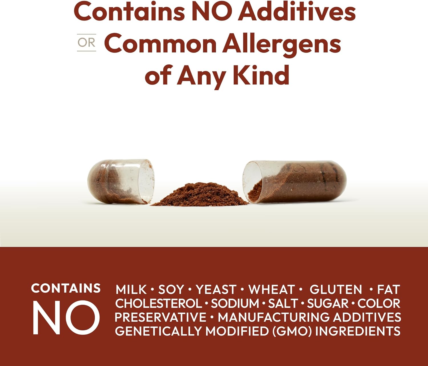 Andrew Lessman Cinnamon 400Mg - 60 Capsules - High Potency, Standardized Extract. No Additives. Small Easy To Swallow Capsules : Health & Household