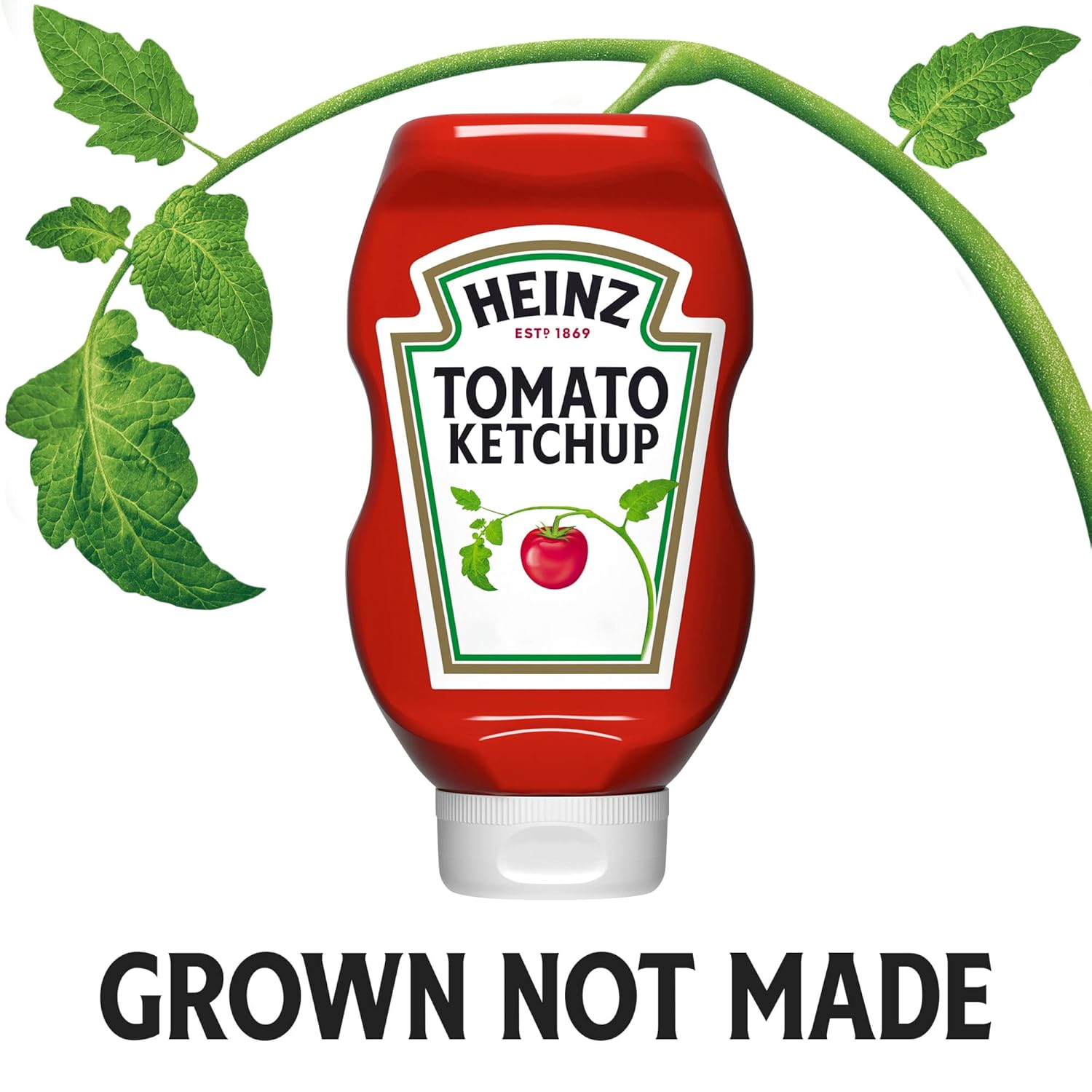 Heinz Tomato Ketchup (20 oz Bottle) : Everything Else