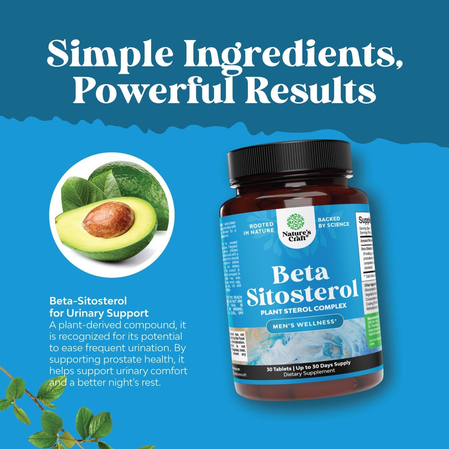 Plant Sterols Complex with Beta Sitosterol - 500mg Beta-Sitosterol Sterols and Stanols Supplement for Heart Health and Prostate Support - Heart and Prostate Health Supplement for Men - 30 Tablets : Health & Household