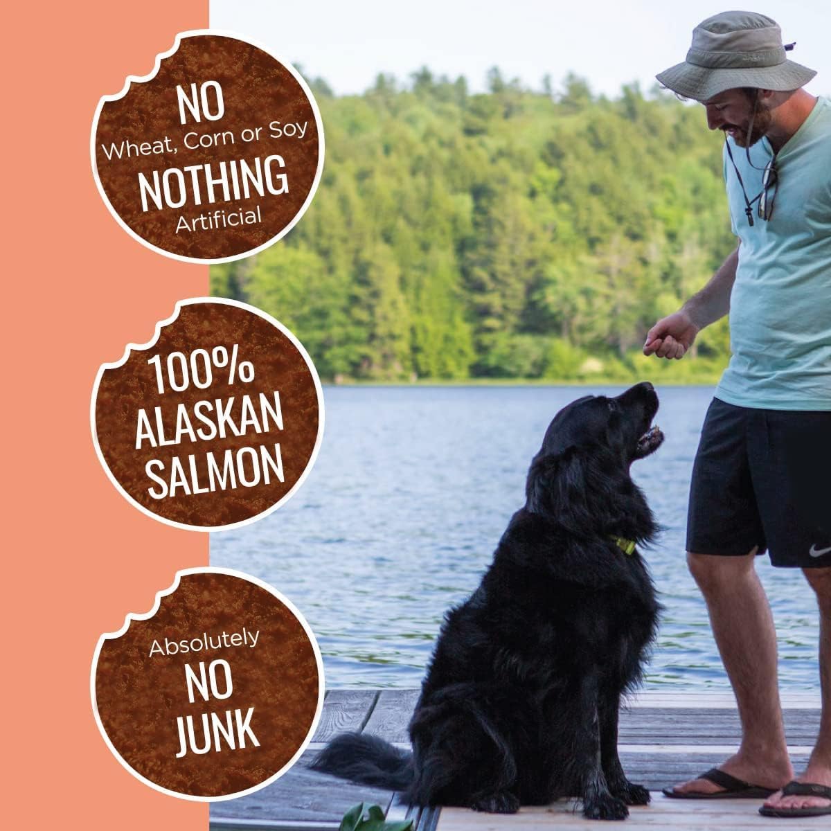 Smart Cookie Freeze Dried Salmon Bites - Single Ingredient Freeze Dried Salmon Treats for Dogs - Wild Caught Alaskan Salmon Dog Training Treats & Dog Food Topper - Made in USA - 2oz Bag, 1 Pack : Pet Supplies