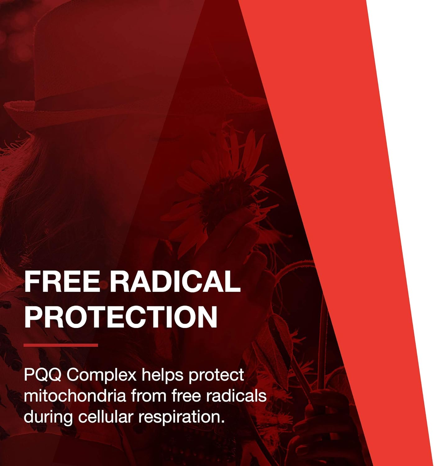 Protocol PQQ Complex - CoQ10, Acetyl-L-Carnitine, Vitamin B12 - Energy - 30 Veg Caps : Health & Household