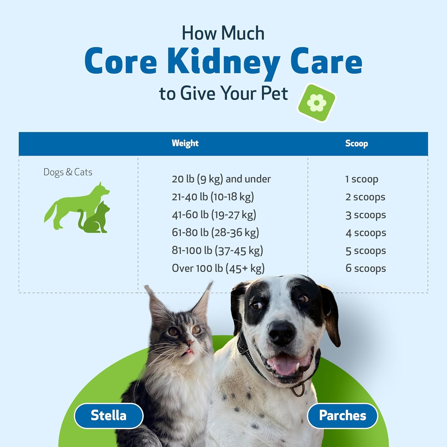 Pet Wellbeing Core Kidney Care for Cats & Dogs - Daily Phosphate Binder with FOS, Chitosan, Probiotics, Reishi - Vet-Formulated - 5.08 oz (144 g) Powder : Pet Supplies