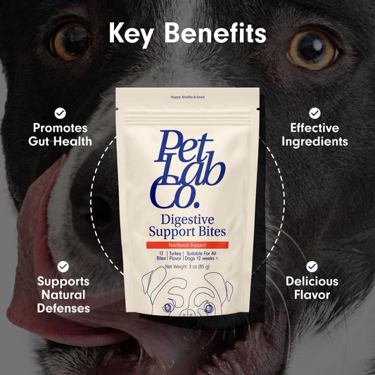 Petlab Co. Digestive Support Bites - Dog Training Treats - Chewy Dog Treats To Support Gut Health - Training Treats For Dogs - Premium Ingredients And Nutritional Benefits - Delicious Puppy Treats