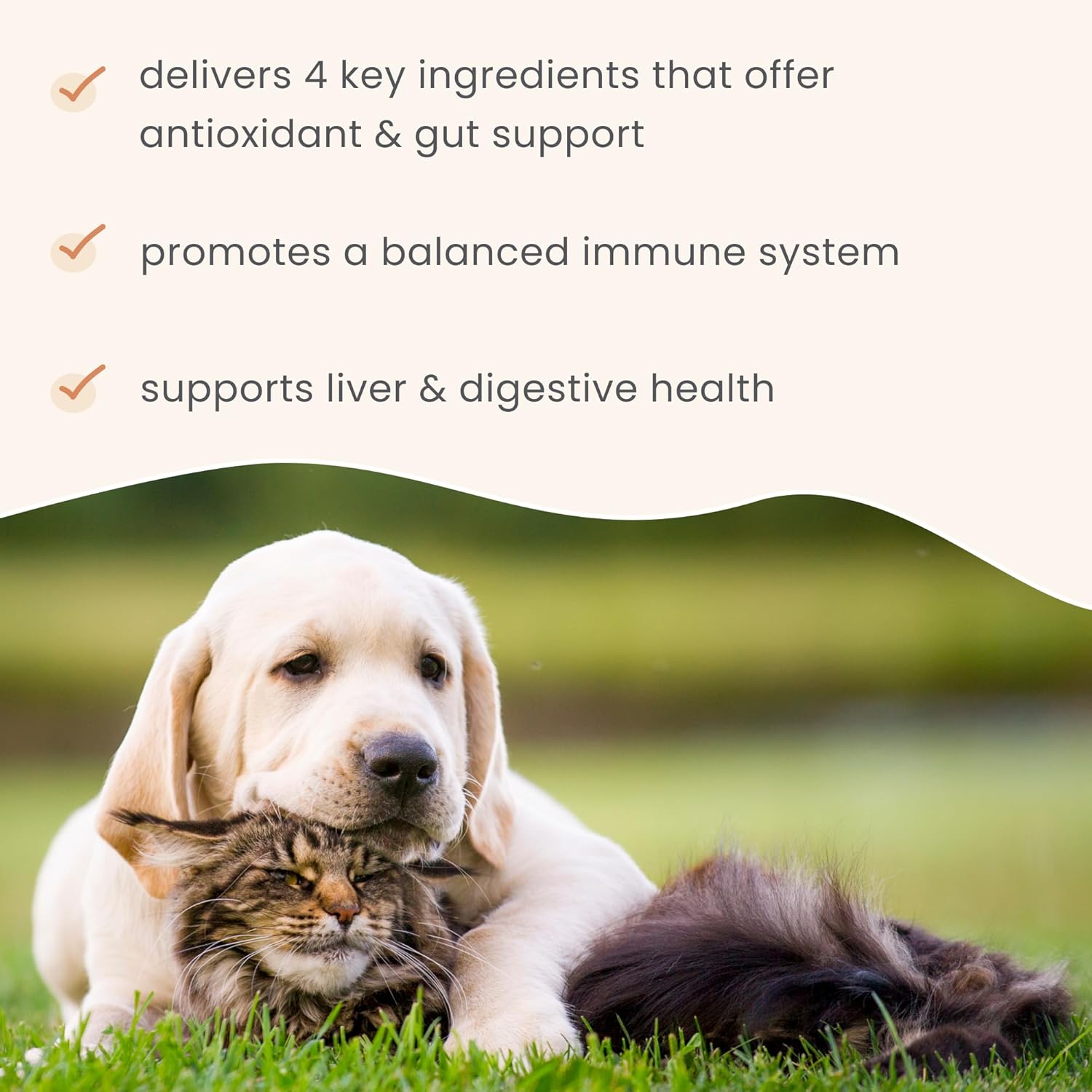 Bark & Whiskers Immune Support, 3.5 Oz. (102 G), 60 Scoops, Supports Liver & Digestive Health, Veterinarian Formulated, Non-Gmo, Dr. Mercola : Pet Supplies