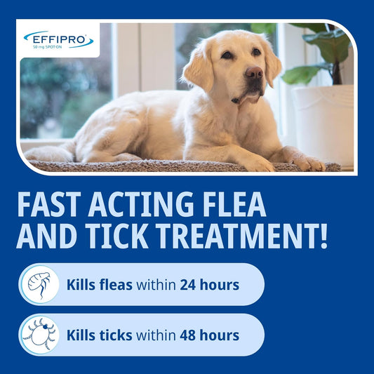 Effipro Spot On For Large Dogs, 20-40Kg, 4 Pipettes