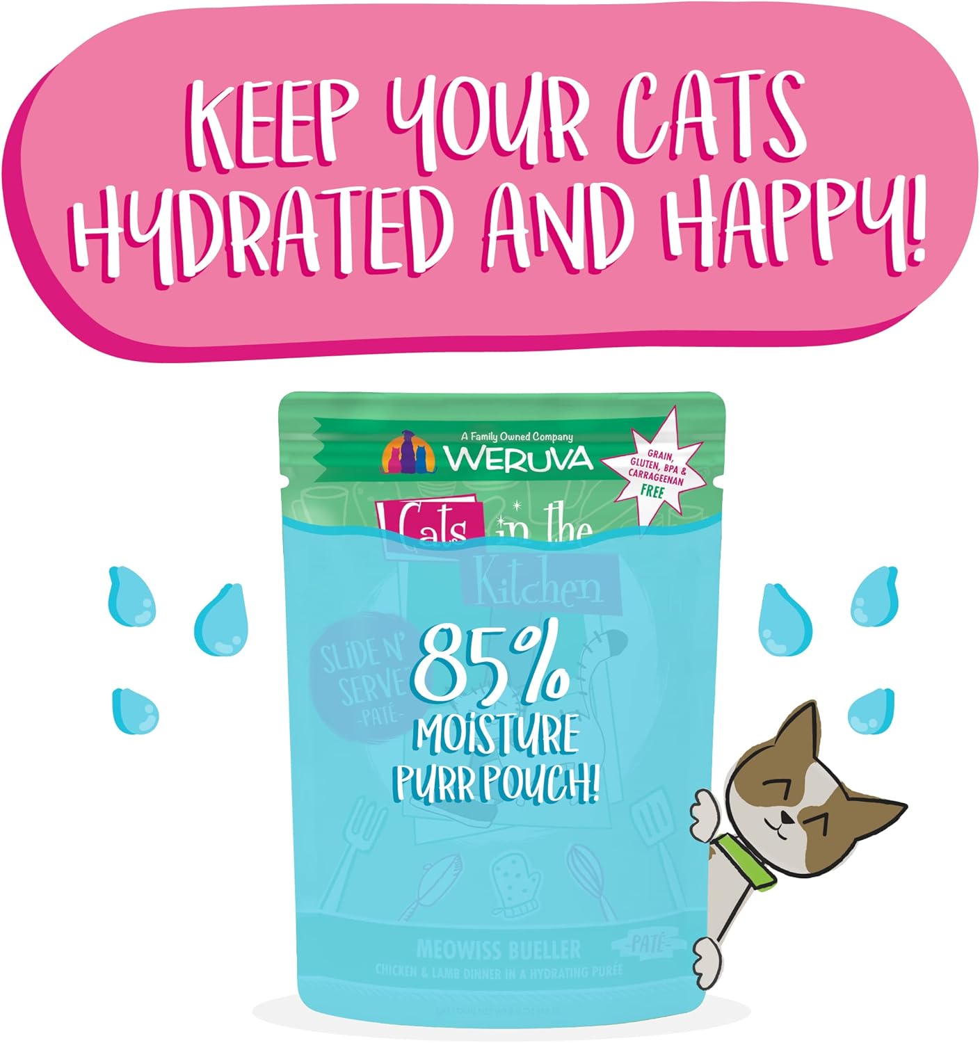 Weruva Cats in The Kitchen Slide N' Serve Grain-Free Natural Wet Pate Cat Food Pouches, Meowiss Bueller, 3oz Pouch (Pack of 12) : Pet Supplies