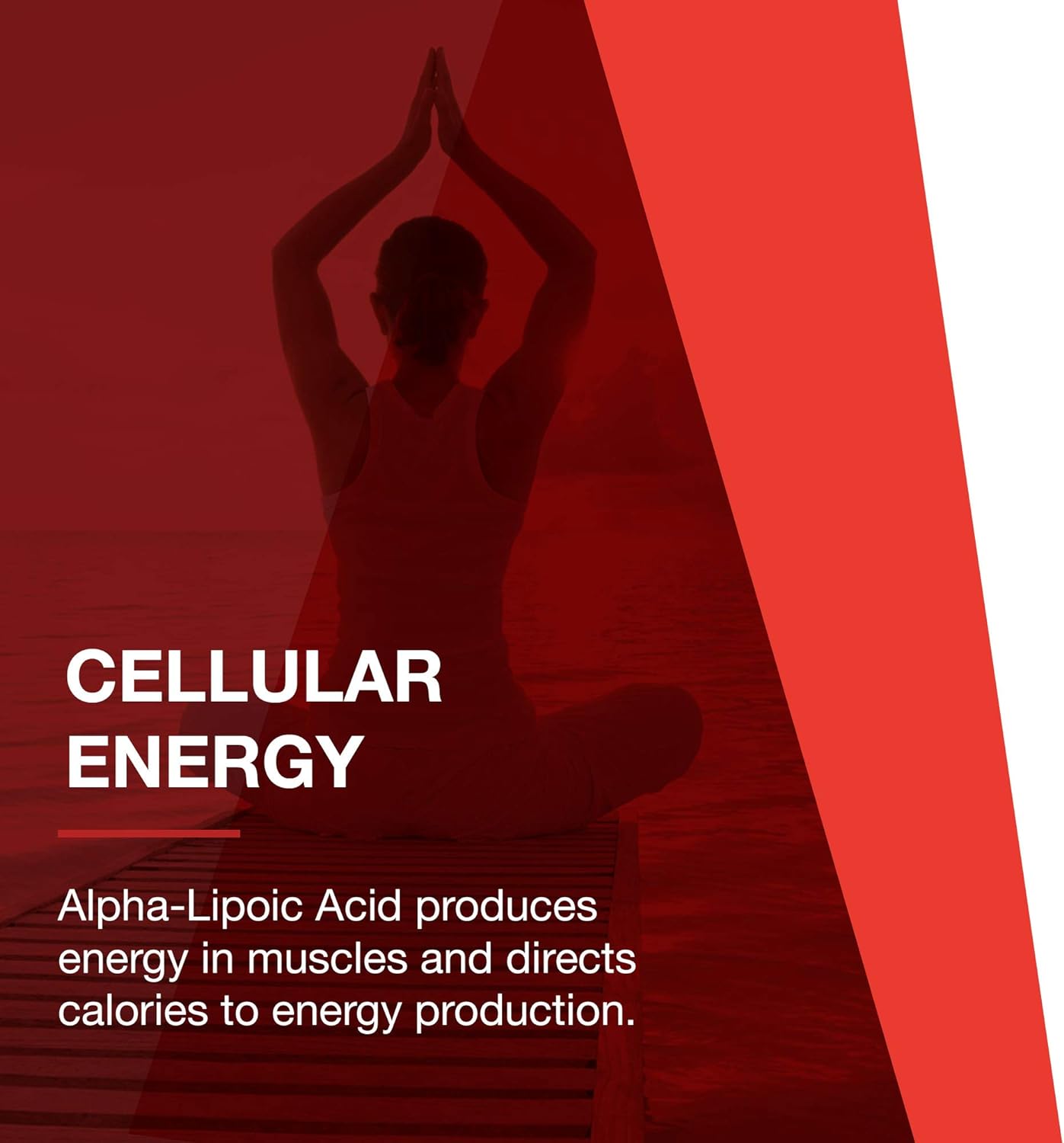 Protocol Alpha-Lipoic Acid 250mg - ALA - Glutathione Production Supplement - 90 Veg Caps : Health & Household