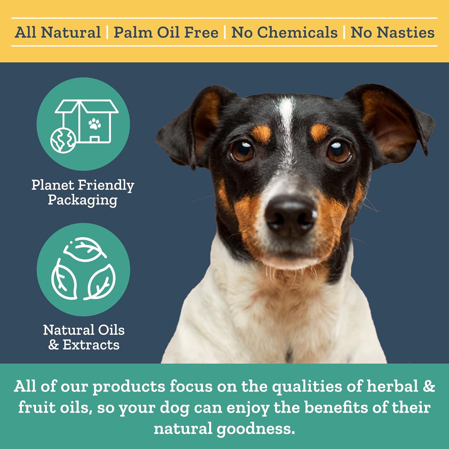 Herbal Dog Co Anal Gland Treatment for Dogs & Puppies, 250ml - Dog Gland & Dog Digestive Supplements - All-Natural, Vegan, Made in UK :Pet Supplies