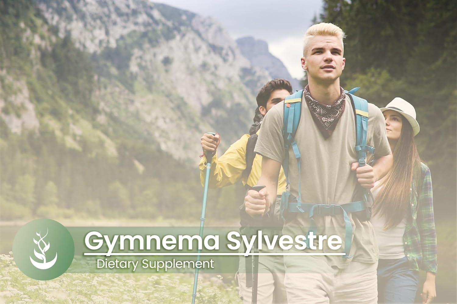 PURE ORIGINAL INGREDIENTS Gymnema Sylvestre, (100 Capsules), Always Pure, No Additives Or Fillers, Lab Verified : Health & Household