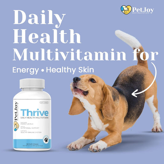 PetJoy - Thrive Daily Multivitamin Soft Chew for Dogs | Energy, Healthy Skin & Coats, and Stronger Bones & Teeth | Complete Daily Health | Pet Vitamins | 60 Count