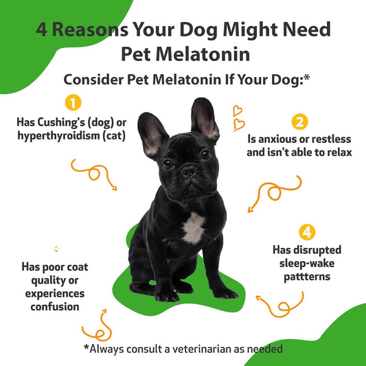 Pet Wellbeing Pet Melatonin for Dogs - Vet-Formulated - for Dog Cushing's, Adrenal Health, Cortisol Balance, Natural Relaxant, Sleep Support - Liquid Supplement 2 oz (59 ml)