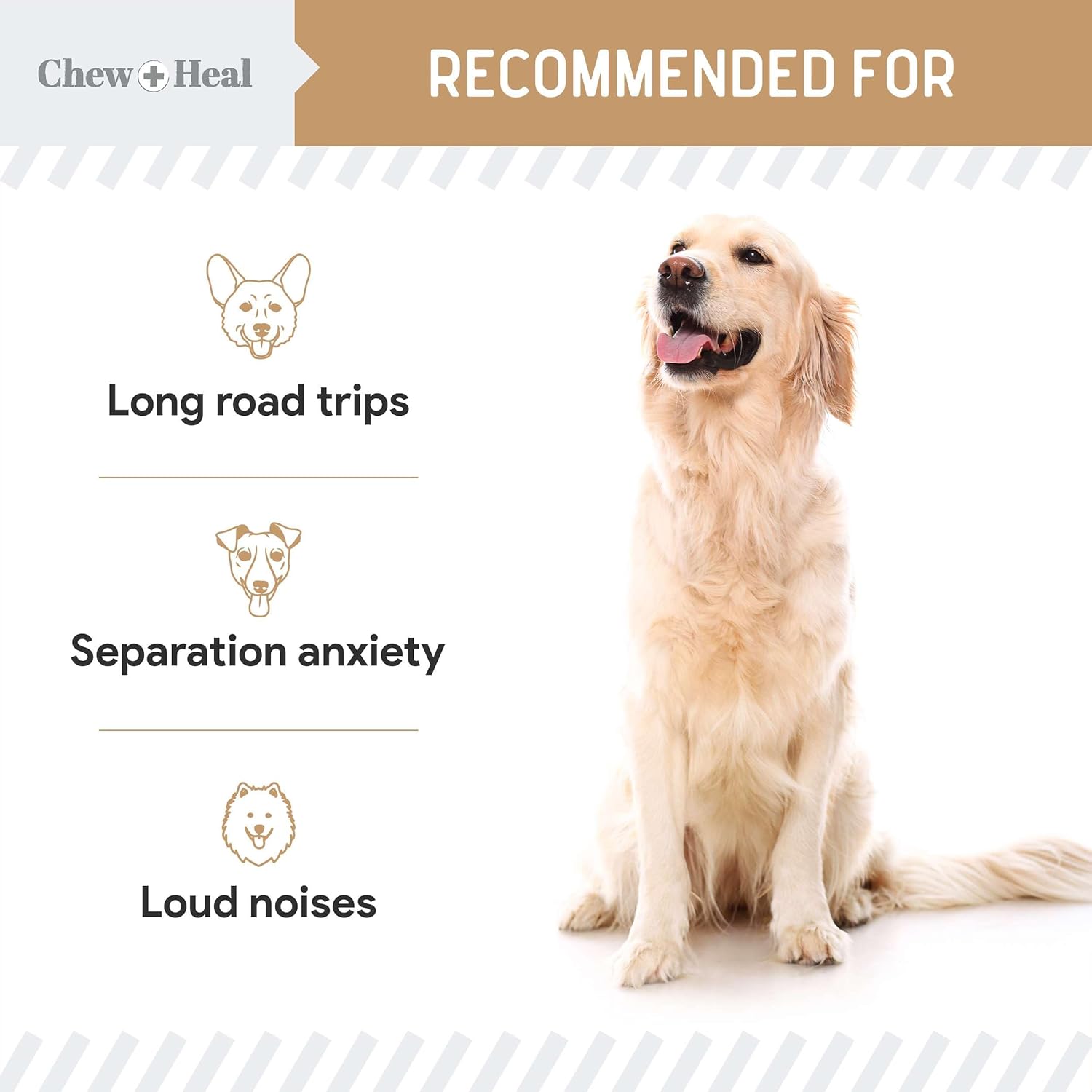 Calming Chews for Dogs - 60 Anxiety Relief Treats for Fireworks, Thunder, and Storms - Peanut Butter Flavor - Natural Dog Calming Treats with Thiamine, L-Tryptophan, Ginger, and Melatonin : Pet Supplies