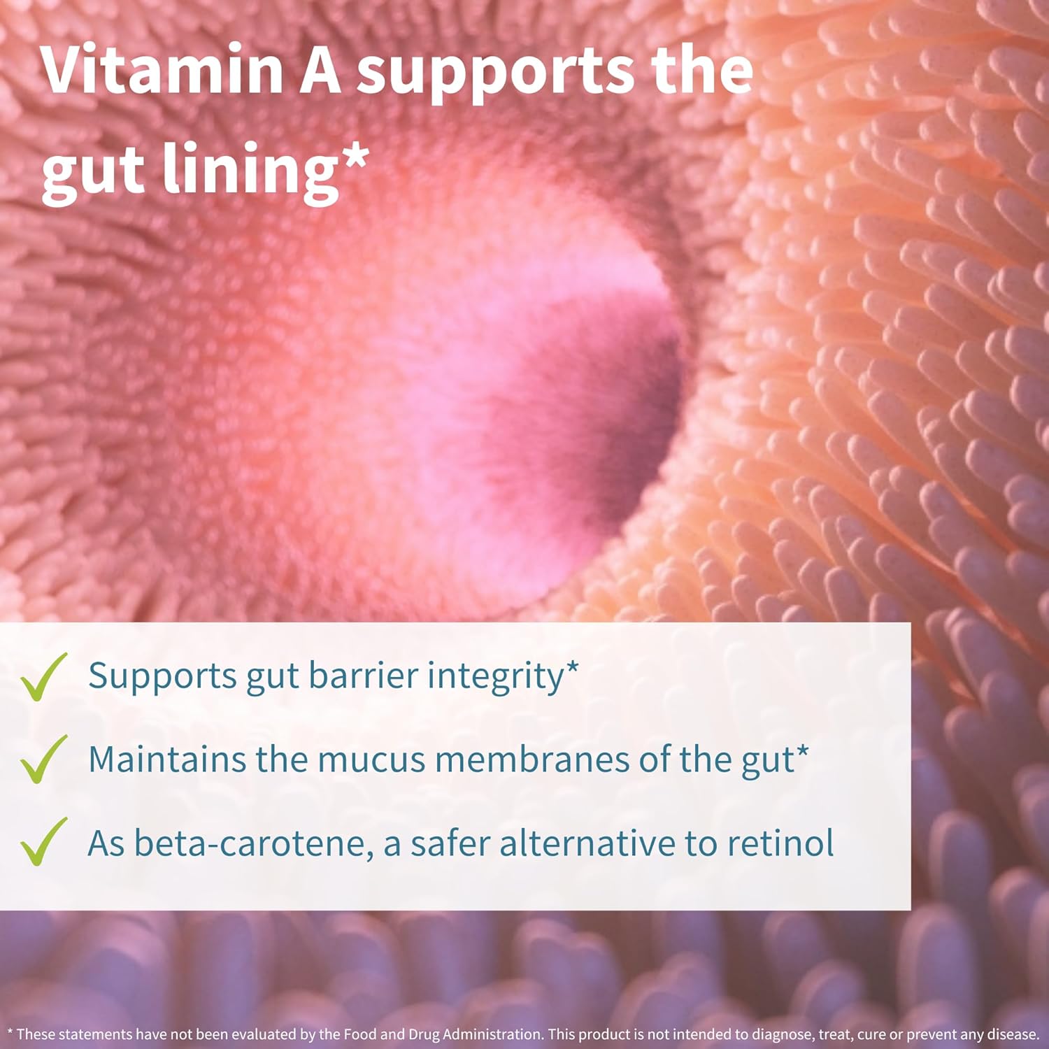 Igennus Probiotics & Prebiotic, Lactobacillus Acidophilus & Bifidobacterium, Live Cultures+ Lab4, Guaranteed 25 Billion Cfu, For Women & Men, Non-Bloating Gut Health Support, Non-Gmo, 30 Capsules : Health & Household