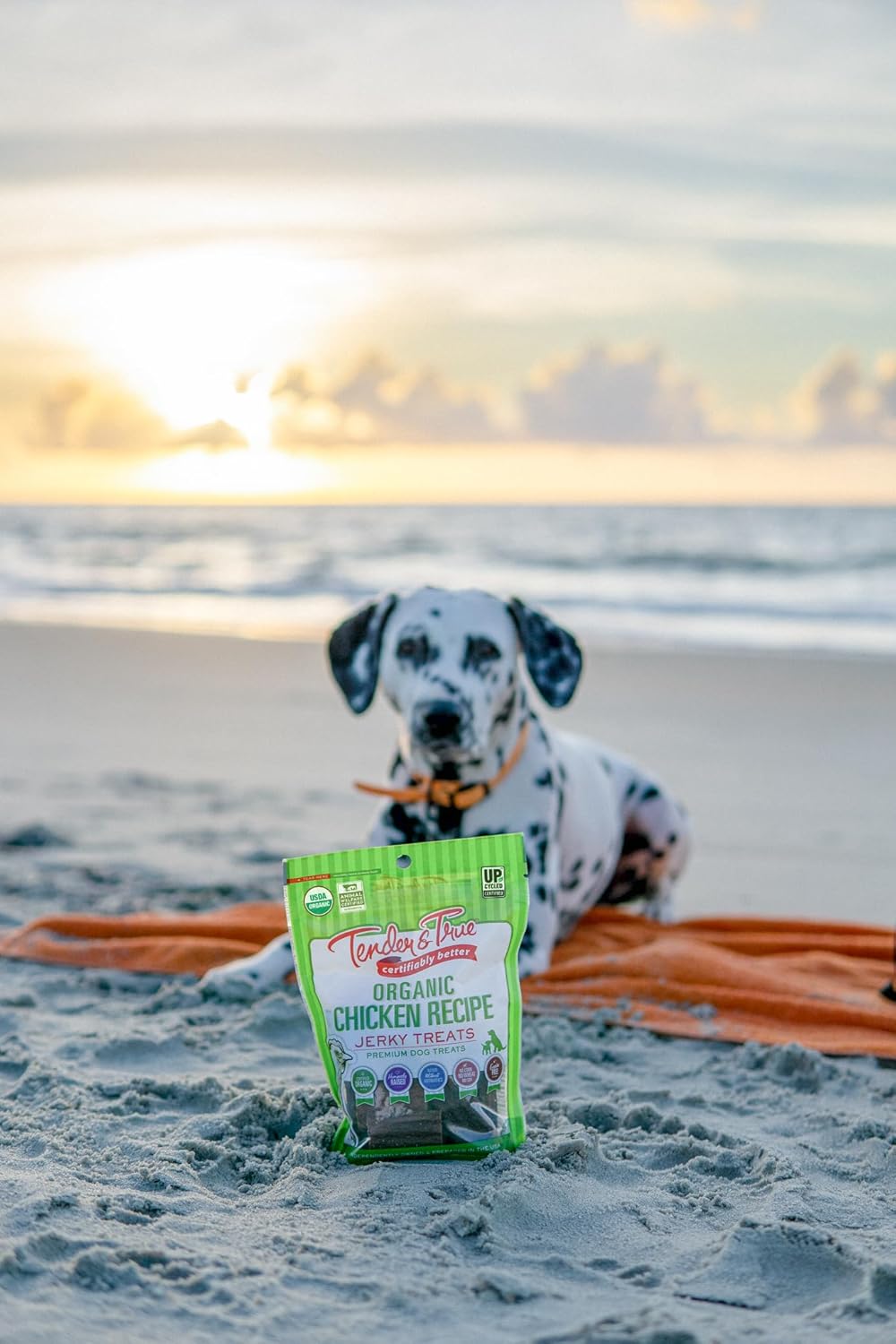 Tender & True Organic Chicken Jerky Treat, 4 oz bag