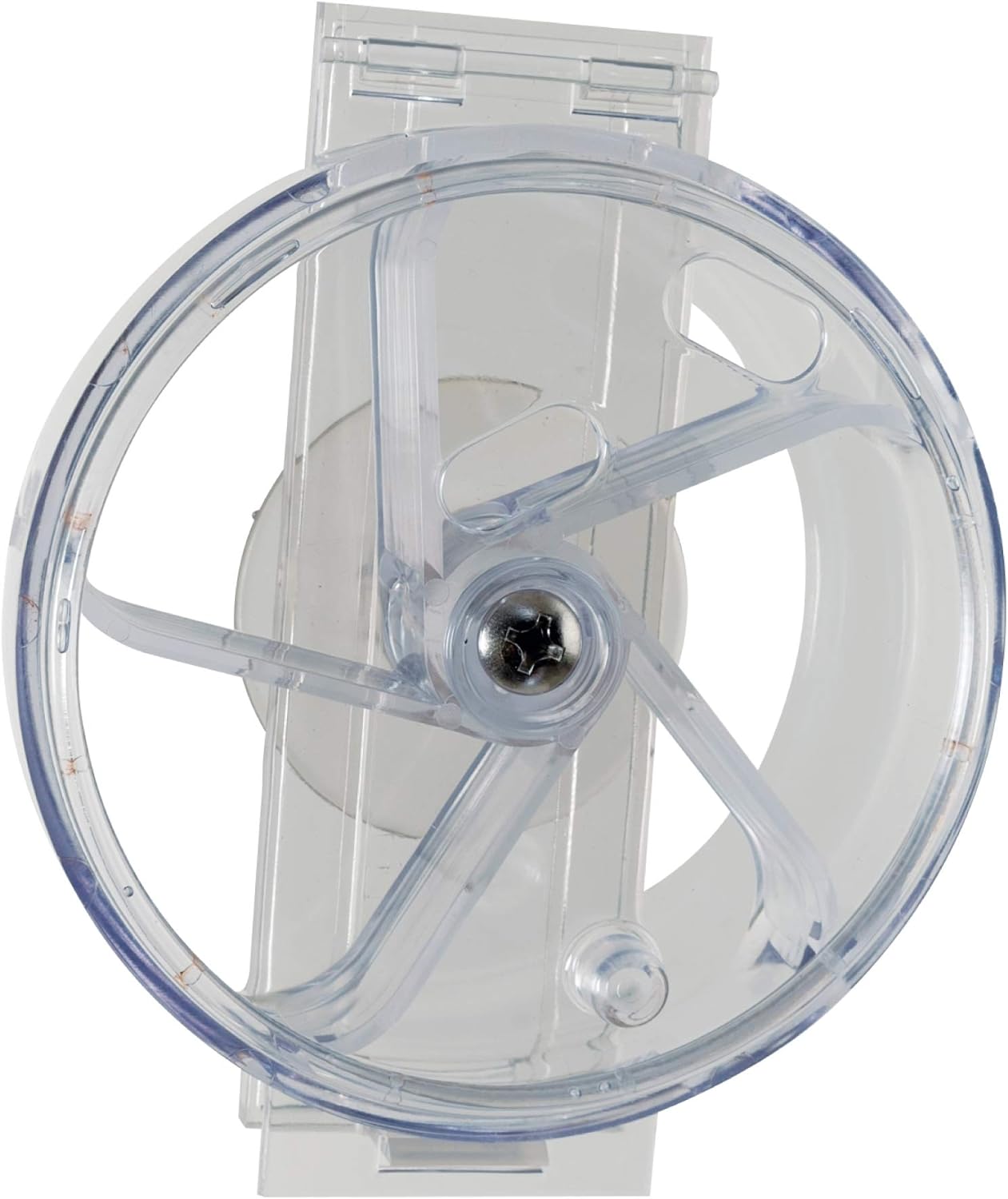 Paradise Toys Bird Creative Foraging System Wheel, Spins With Food Inside, 6” Diameter613