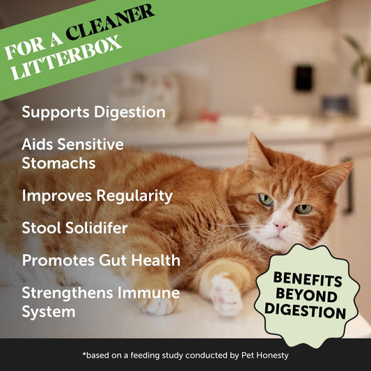 Pet Honesty Digestive Probiotics Max Strength For Cats Supplement - Digestive Support + Gut Health, Probiotic For Cats, Cat Constipation Relief, Bowel Support, Immunity & Overall Health - 120 Scoops