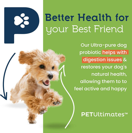 Pet Ultimates Probiotics for Dogs – 22-Species Dog Probiotics for Dog Digestive Support & Dog Antibiotics Recovery – Skin and Coat Supplement for Dogs Enhances Vitality – Dog Health Supplies (137 gr)