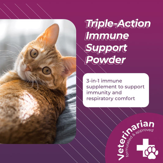 VetriScience Lysine Complete Triple Action Cat Lysine Powder with Scoop - 60 Servings - Immune Support Cat Supplements and Vitamins with L-Lysine and DMG for Immunity and Respiratory Health?