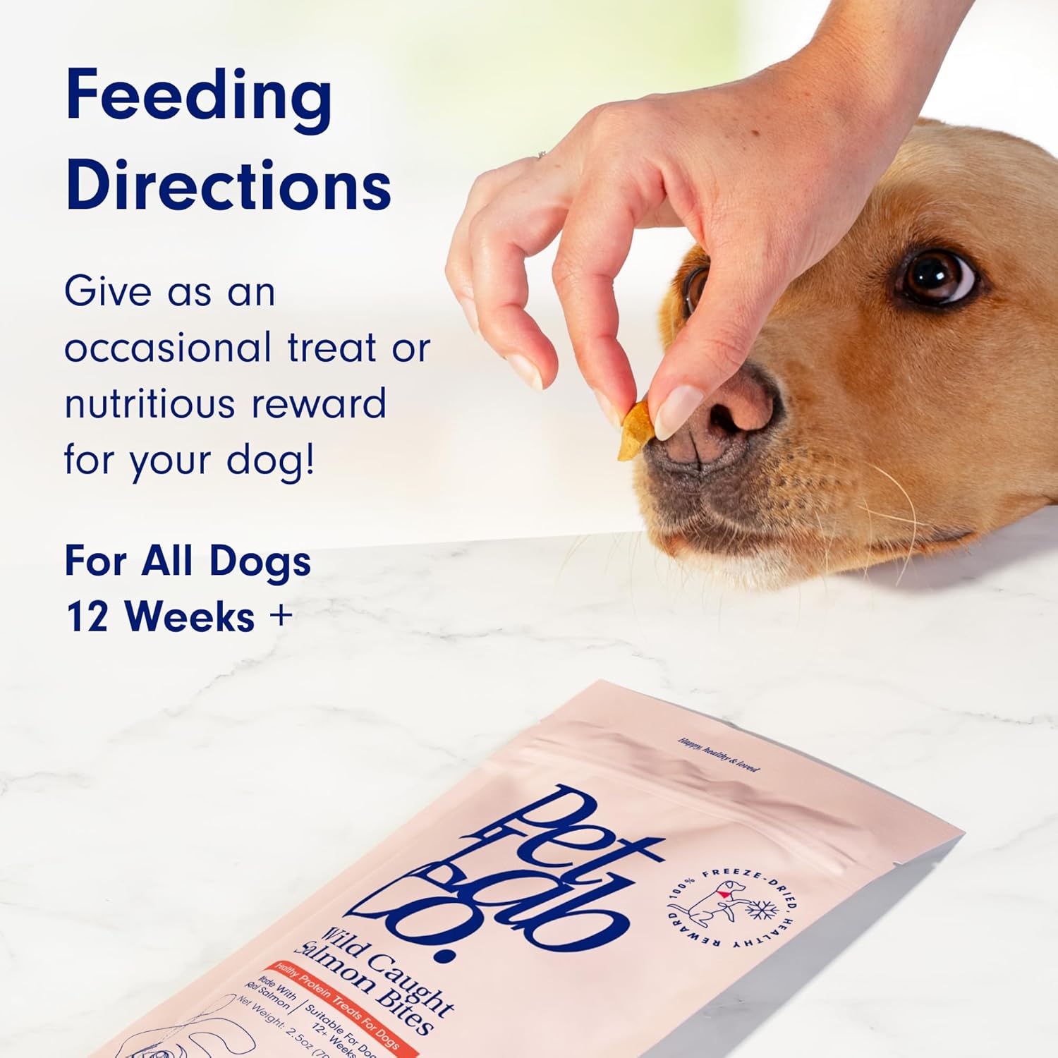 Petlab Co. Wild Caught Salmon Freeze-Dried Dog Treats - Support Overall Skin Health with Healthy Dog Treats. Packed with Beneficial Fatty Acids, Vitamins, & Minerals. Delicious Reward : Pet Supplies