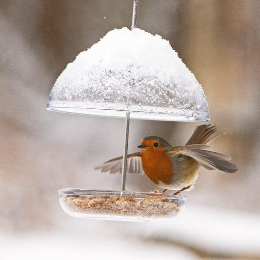 Clear Hanging Bird Feeders For Small Birds - Jacobi Jayne® I Love Robins® Pearl Feeder™ - Attracts Small Garden Birds. HangIng Bird seed Feeder Perfect For Seed Mixes And Mealworms?ILR-PF-B