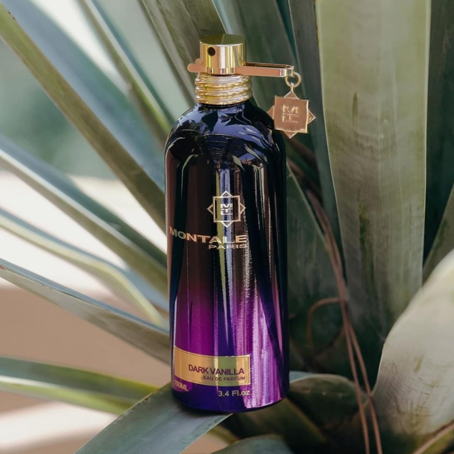 Dark Purple By Montale For Unisex - 3.4 Oz Edp Spray