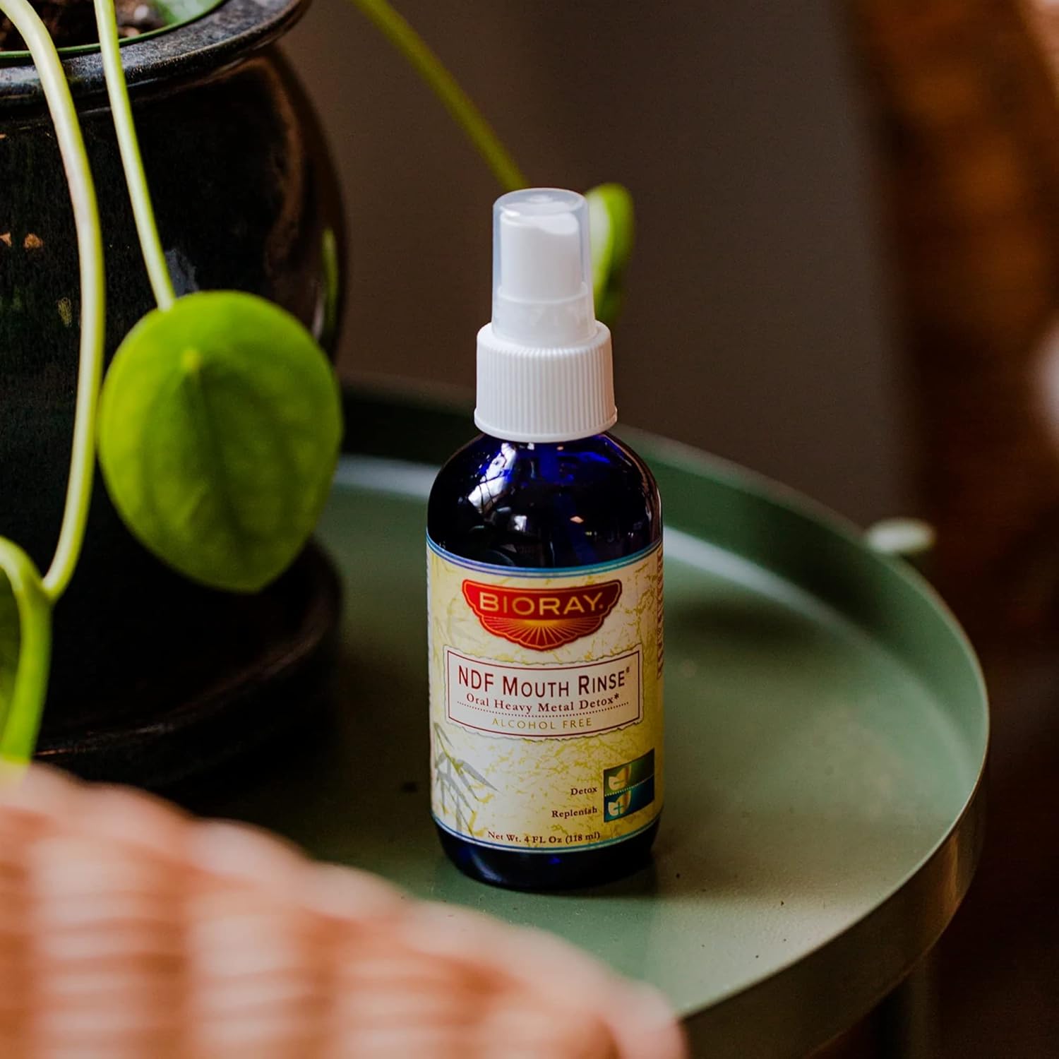 Bioray Professional Ndf Mouth Rinse - 4 Fl Oz - Alcohol-Free Formula, Safe For Use With Amalgam Fillings - Non-Gmo, Vegetarian, Gluten Free : Health & Household