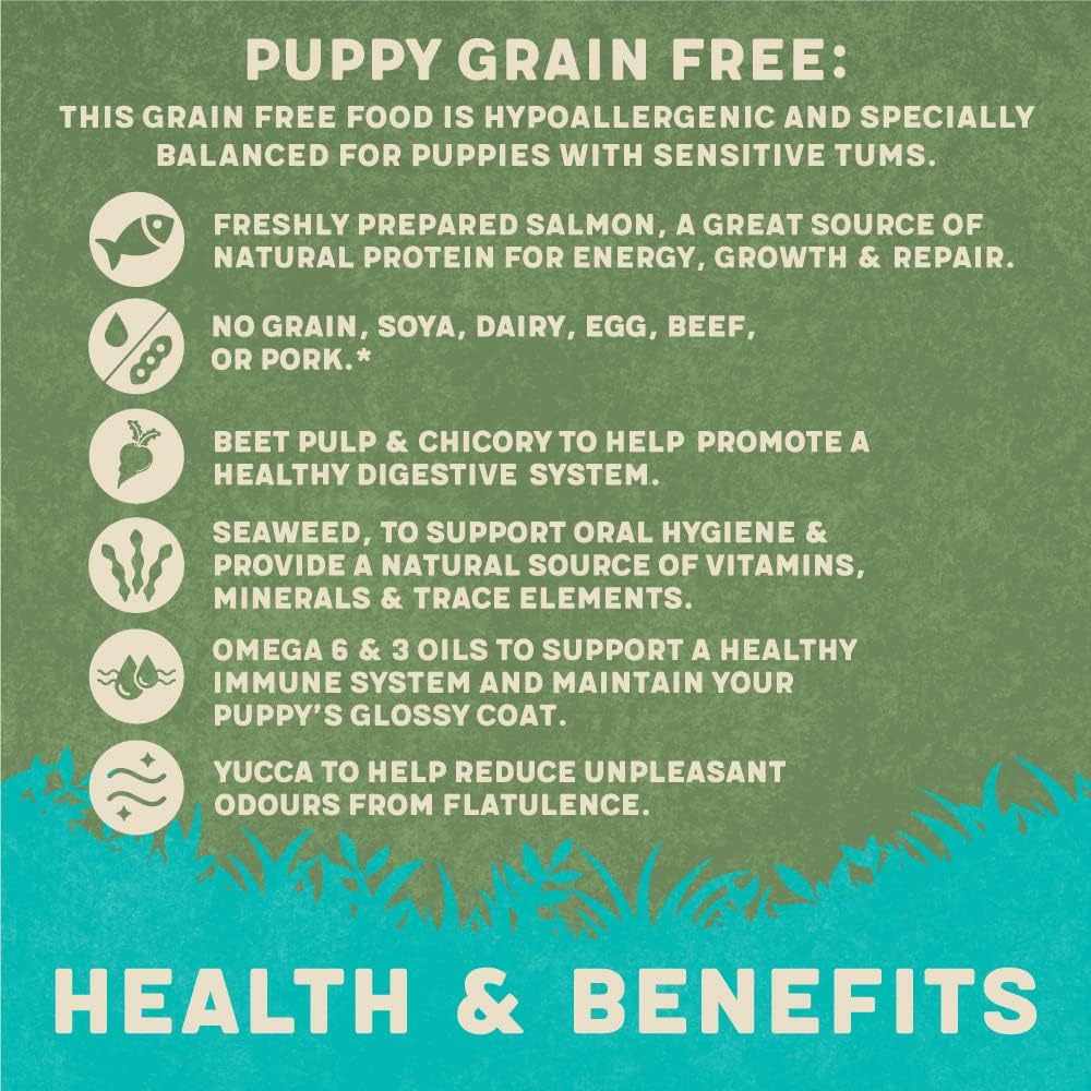 Harringtons Grain Free Puppy Salmon 10kg :Pet Supplies