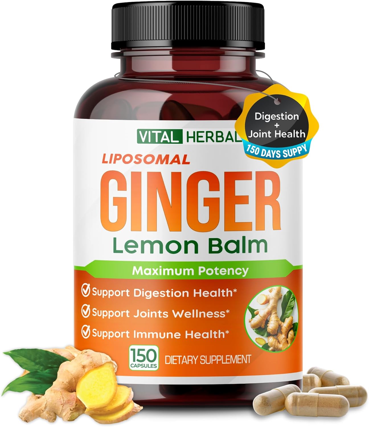 Vital Herbal Liposomal Ginger With Lemon Balm, Cinnamon- Maximum Potency - Supports Digestion, Joints, Immune Health - Made In The Usa