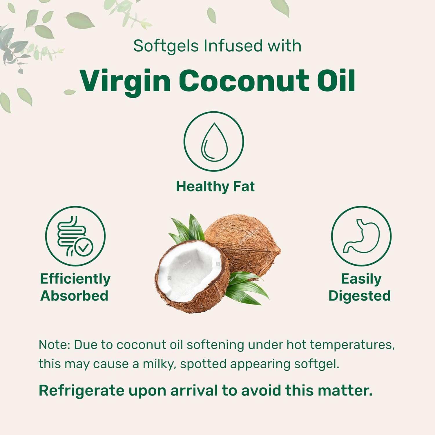 Micro Ingredients Biotin 10,000mcg w/Hyaluronic Acid 25mg | 365 Virgin Coconut Oil Softgels, Fast Release, One Year Supply, Supports Healthy Hair, Skin & Nails, Non-GMO & No Gluten : Health & Household